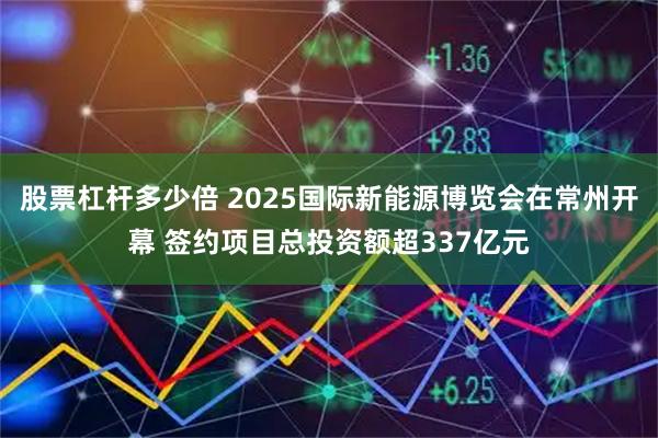 股票杠杆多少倍 2025国际新能源博览会在常州开幕 签约项目总投资额超337亿元