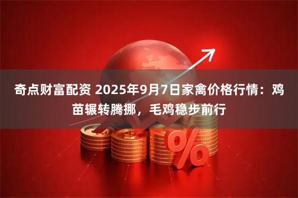 奇点财富配资 2025年9月7日家禽价格行情：鸡苗辗转腾挪，毛鸡稳步前行